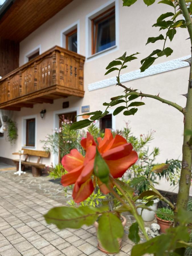 Guesthouse Sabine - pr` Skminc Bohinjska Bela Extérieur photo