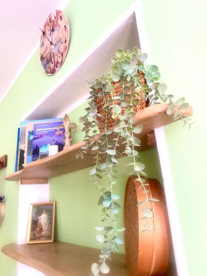 Guesthouse Sabine - pr` Skminc Bohinjska Bela Extérieur photo